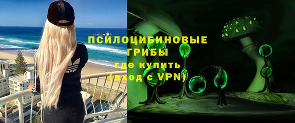 таблы Богородск
