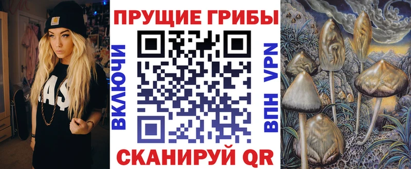 где найти   Сочи  это Telegram  Галлюциногенные грибы Psilocybine cubensis 